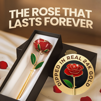 24K Gold Forever Rose
